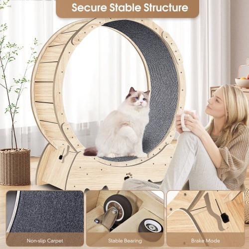 Cat Indoor Cat Exercise Wheel