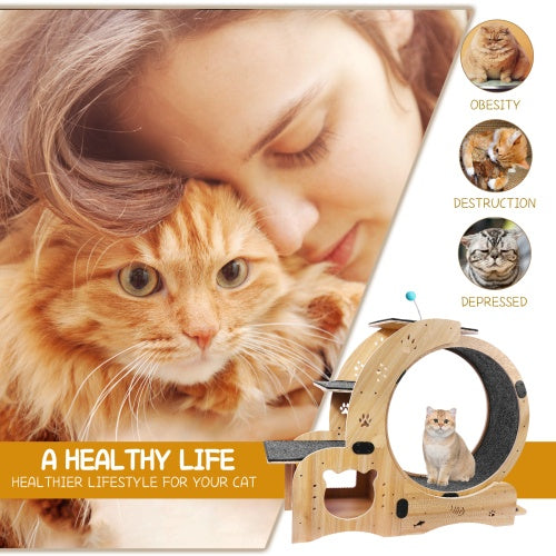 Cat Fitness Wheel