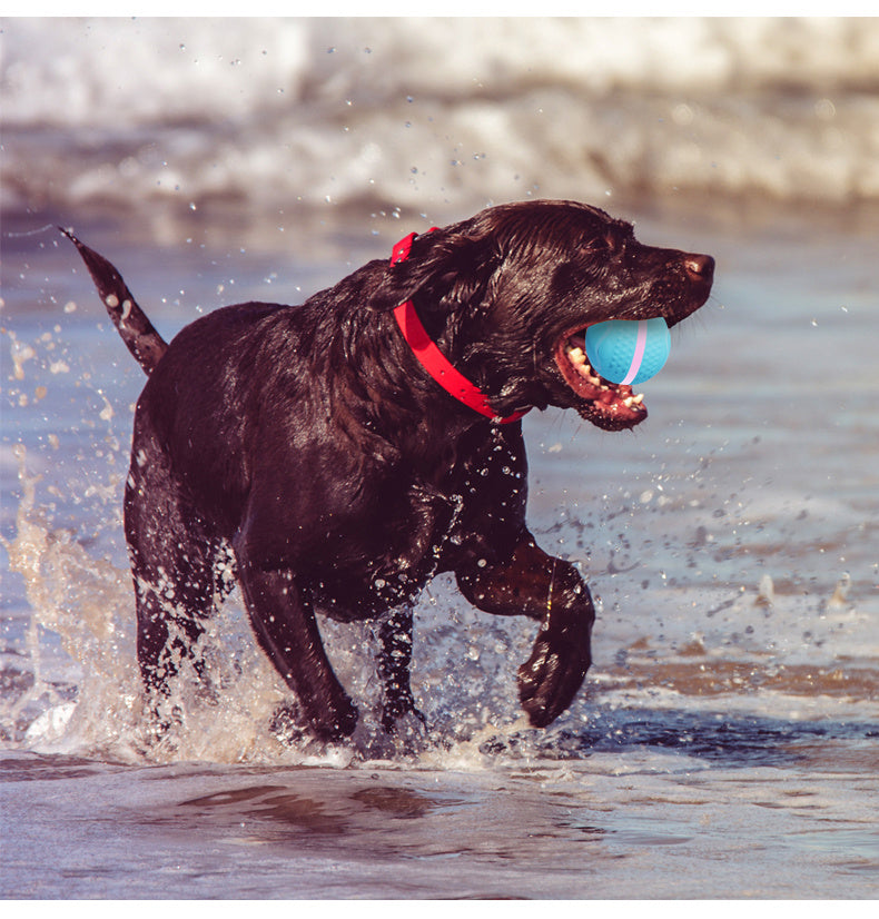 Pet Electric Dog Ball
