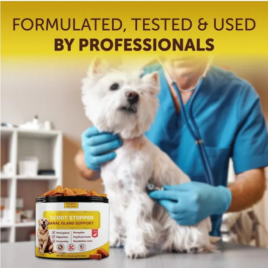 SUPER Scoot Stopper Dog Chews