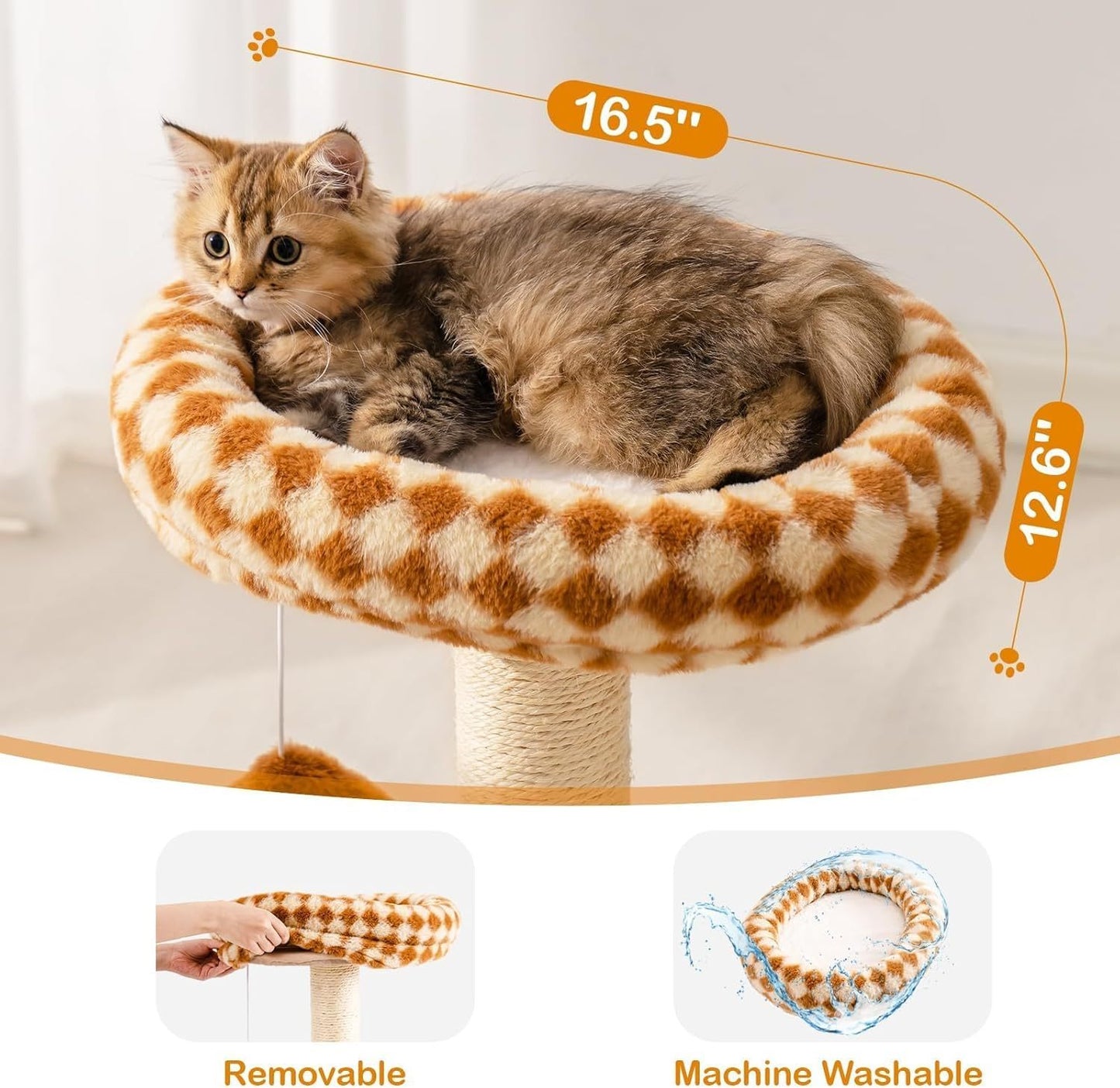 Cat Scratching Post With Bed