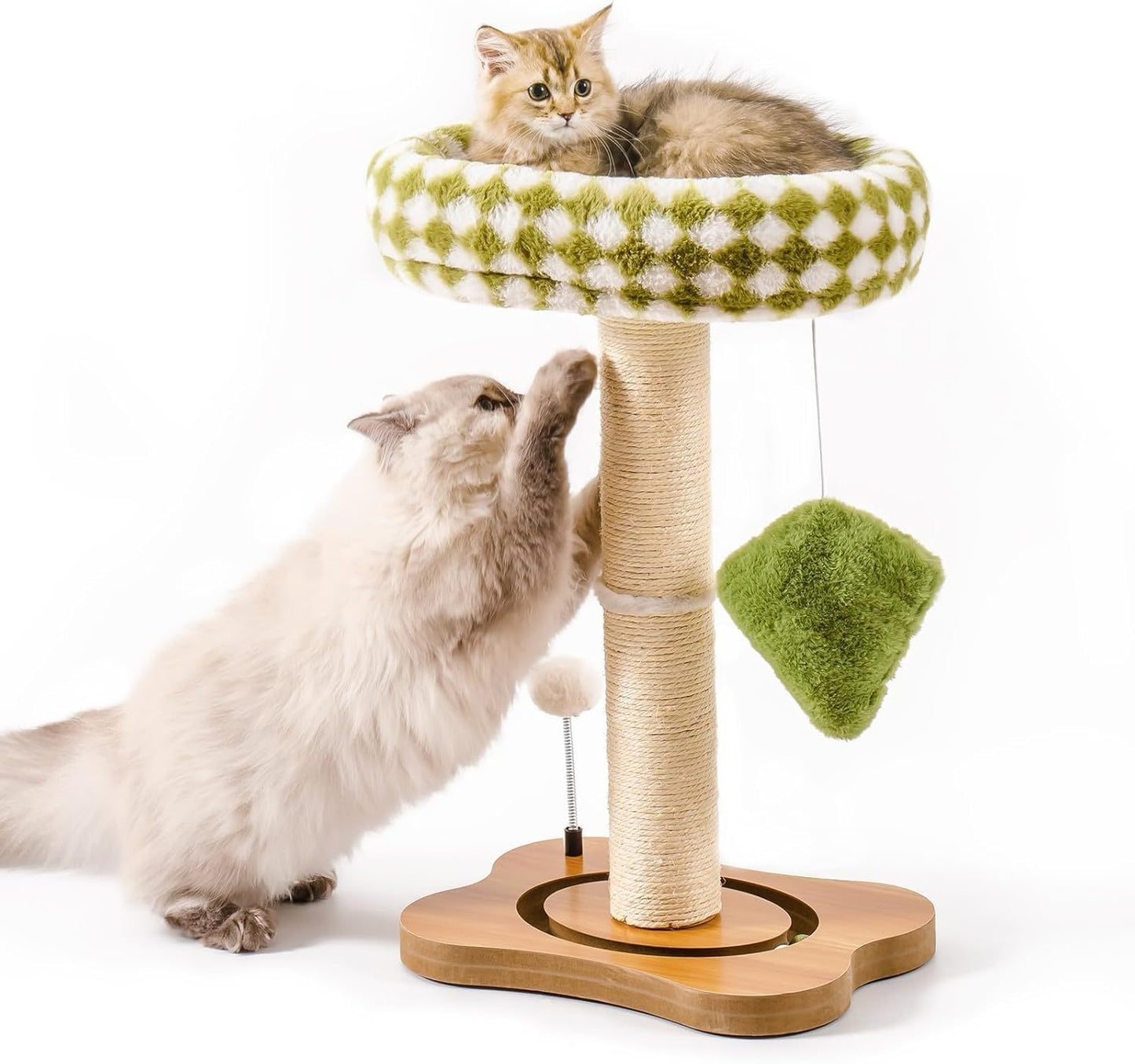 Cat Scratching Post & Bed