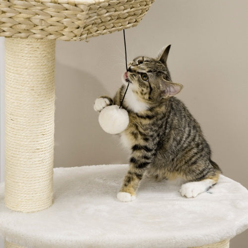 Cat Tree with Scratching Post