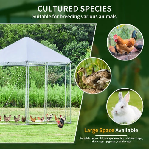 Large Metal Chicken Coop Hexagonal