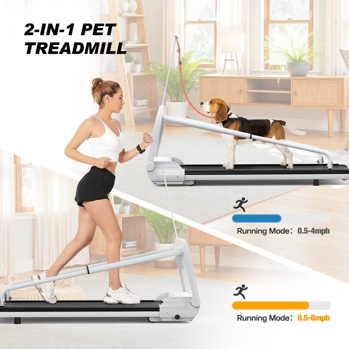 Quiet Smart Pet Treadmill – Adjustable Speed for Small & Medium Dogs