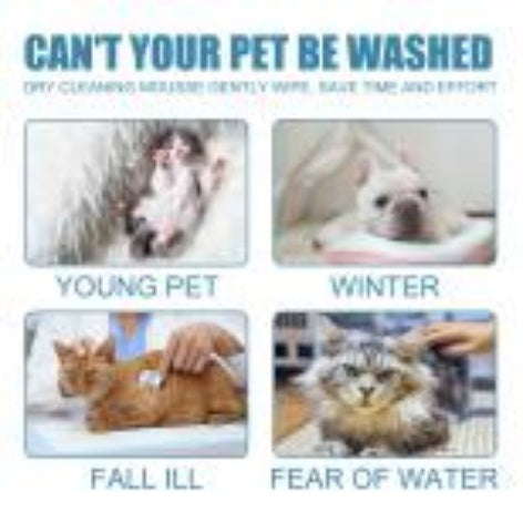 No-Wash Odor Control & Hair Care for Kittens & Dogs