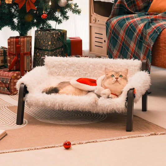 Raised Cat Bed For Indoor Cats