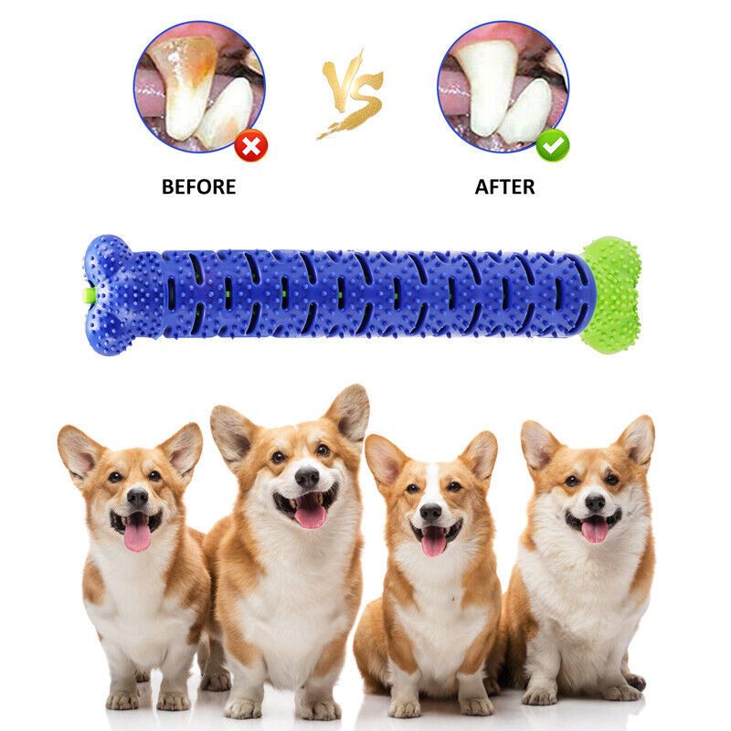 Dog Toothbrush TPR Chew Toy – Durable Molar Brushing Stick for Teeth Cleaning