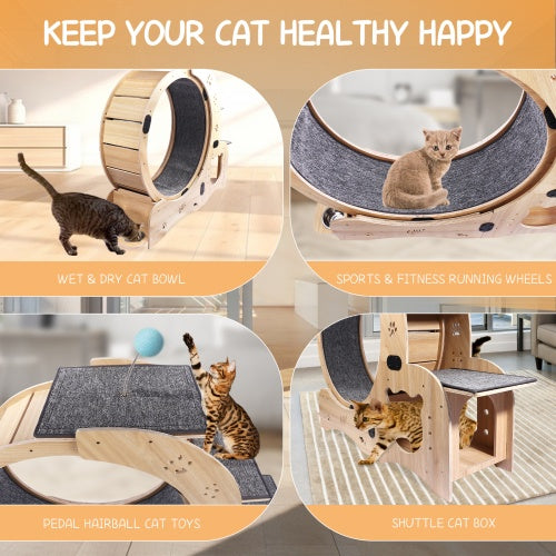 Cat Fitness Wheel