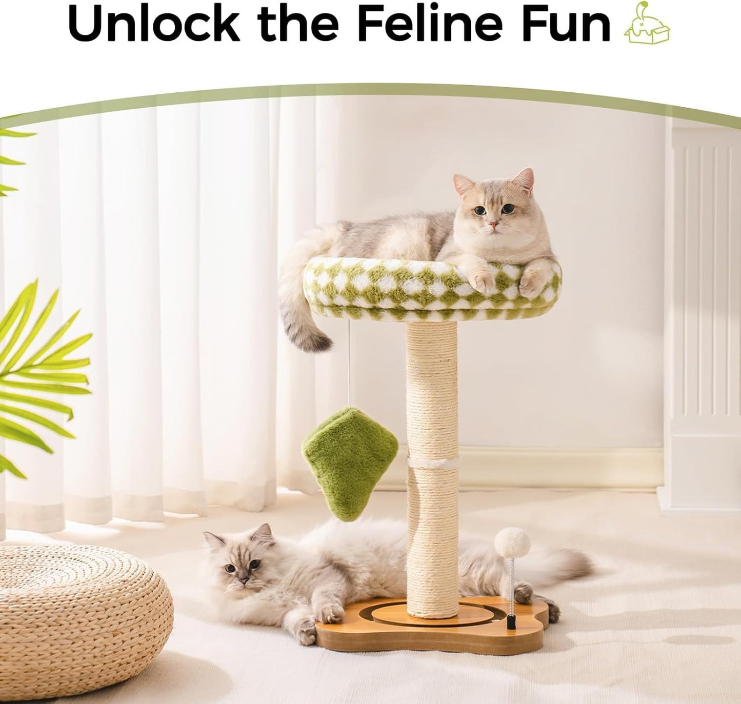 Cat Scratching Post & Bed