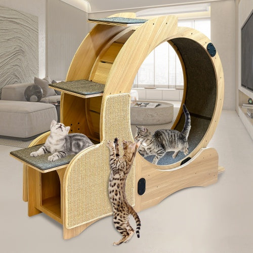 5-in-1 Cat Sports Running Wheel