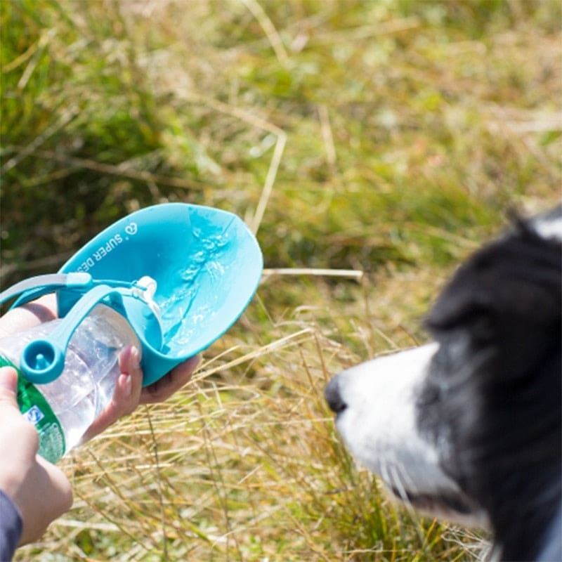 Pet Water Bottle Leaf Design