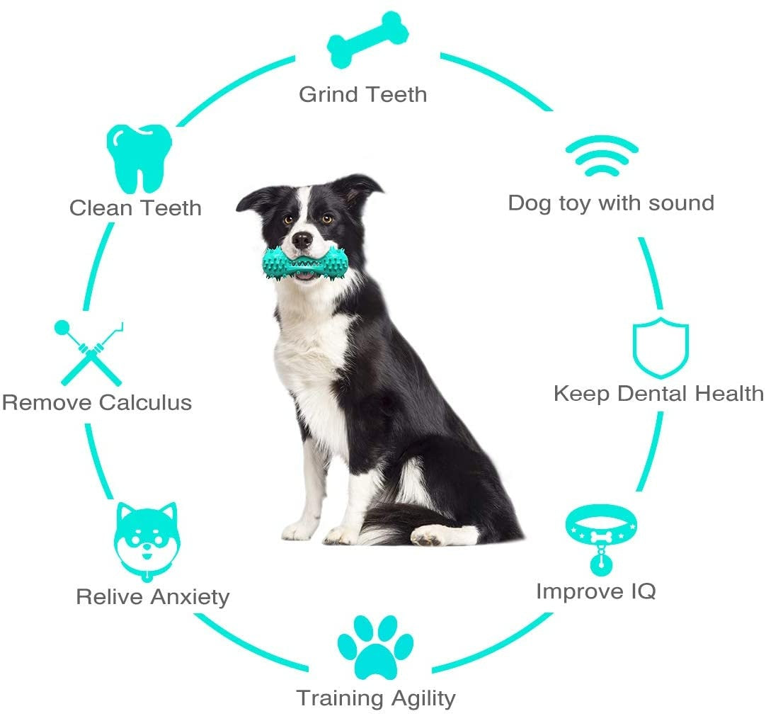 Dog Chew Toy – Rubber Molar Stick