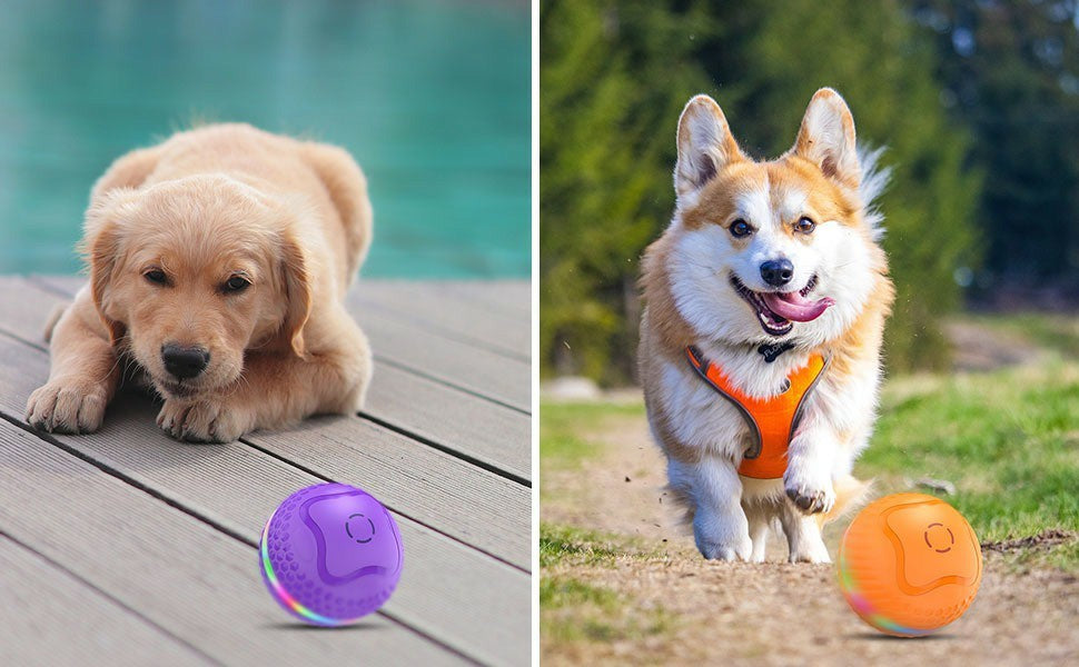 Interactive Automatic Rolling Dog Toy – LED Flash, USB Rechargeable Ball for Medium & Large Dogs