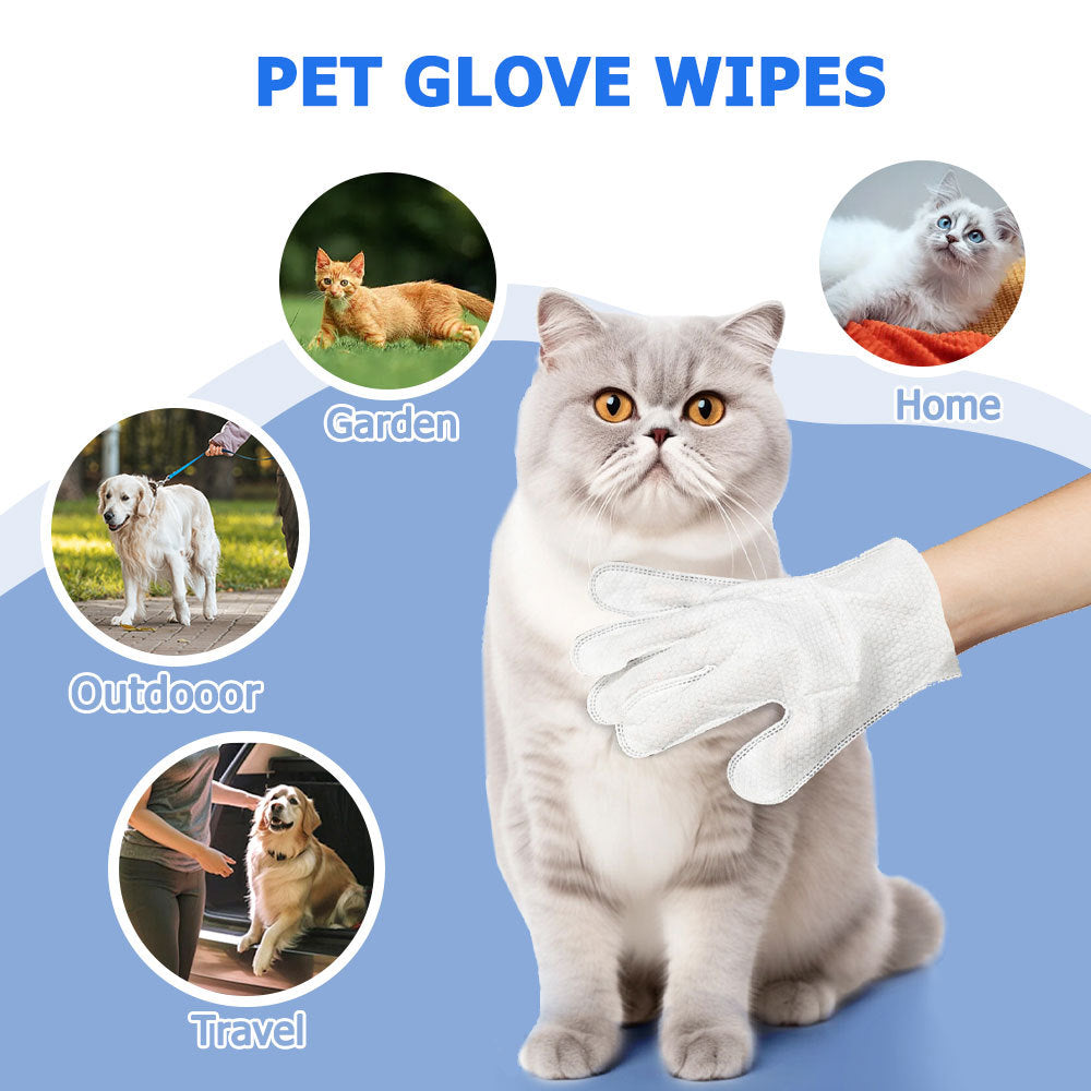 Pet Cleaning Gloves Wipes for Dogs & Cats – 6PCS Daily Care Wipes