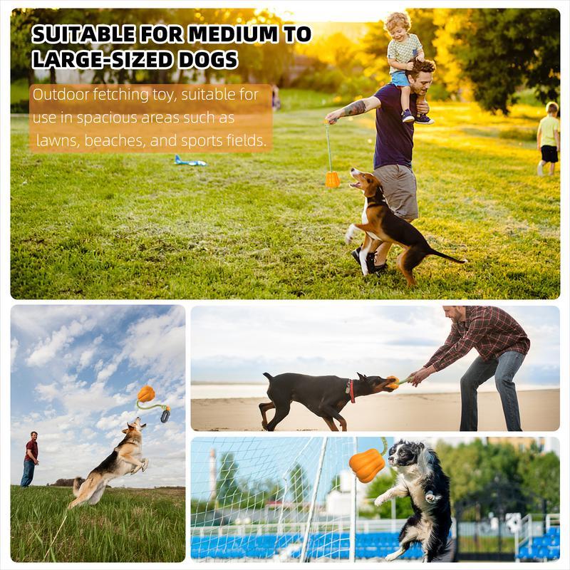 PROKEl Dog Rope Fetch Exercise Toy