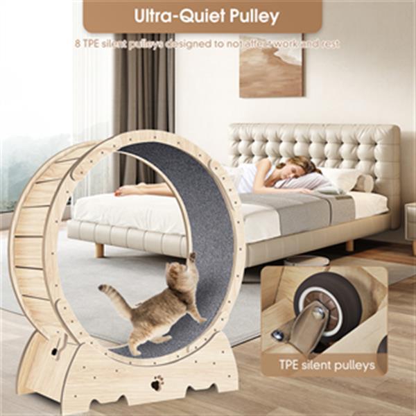 Indoor Cat Sports Wheel