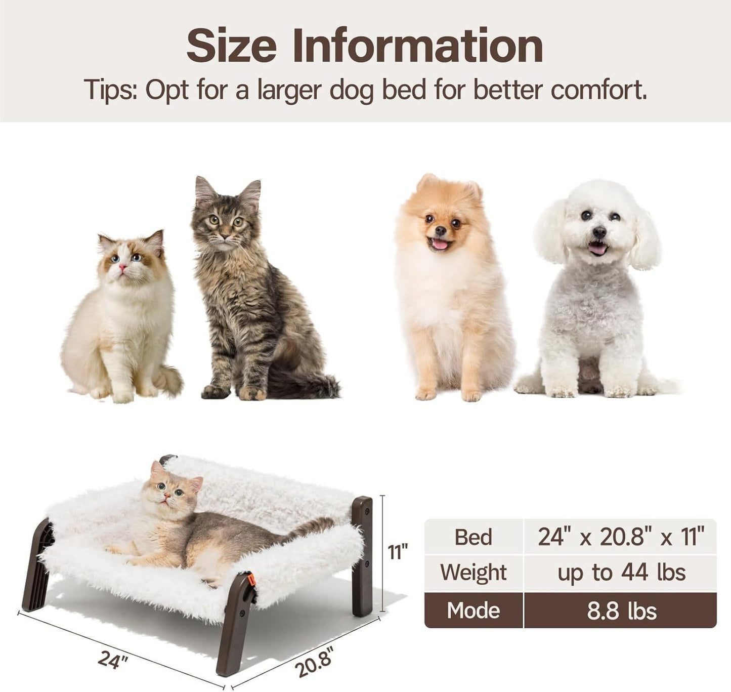 Raised Cat Bed For Indoor Cats