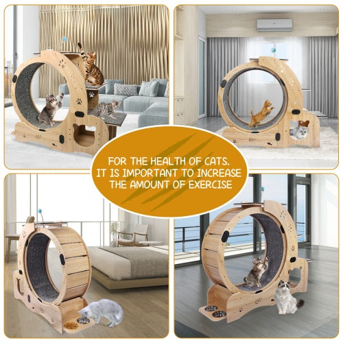 Cat Fitness Wheel