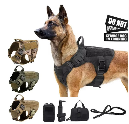 Luxury Dog Harness & Leash Set – Camouflage Nylon