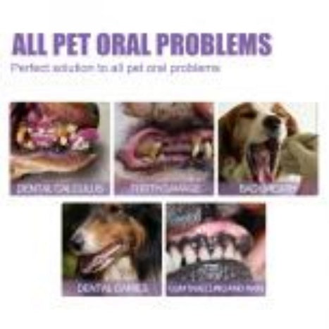 Pet Teeth Cleaning Spray – 2pcs Oral Care for Dogs & Cats