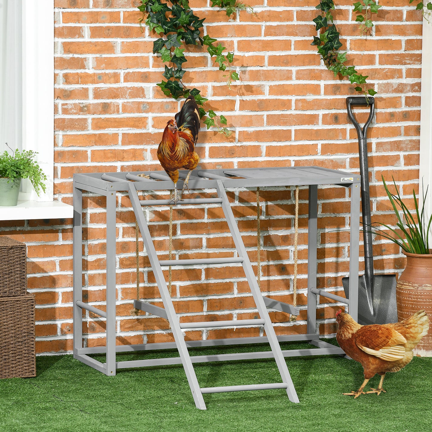 Chicken Activity Game With Swing & Perches for 3-4 Birds