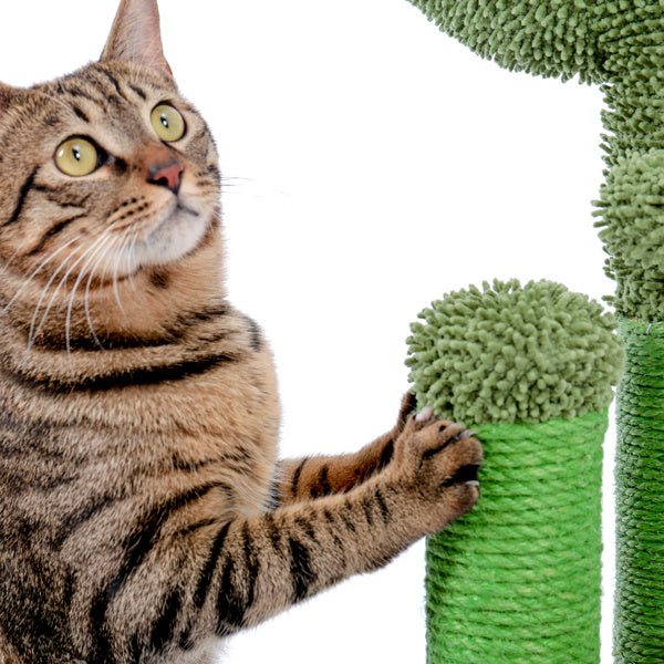 Vibrant Scratching Pillar for Cats