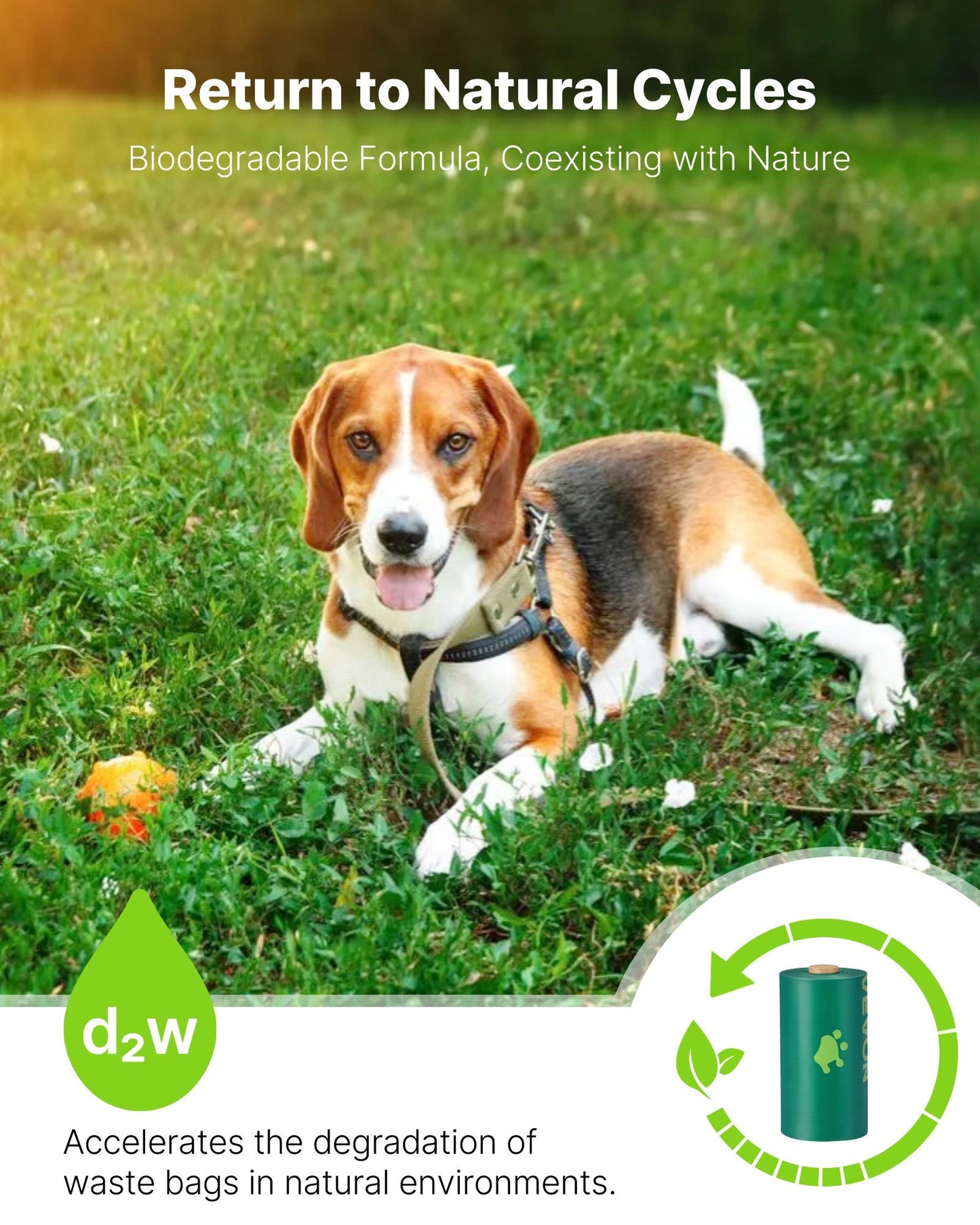 Thick Biodegradable Dog Poop Bags