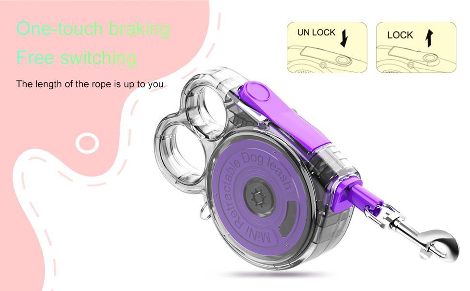 Compact Retractable Leash for Small Pets – Ideal for Outdoors