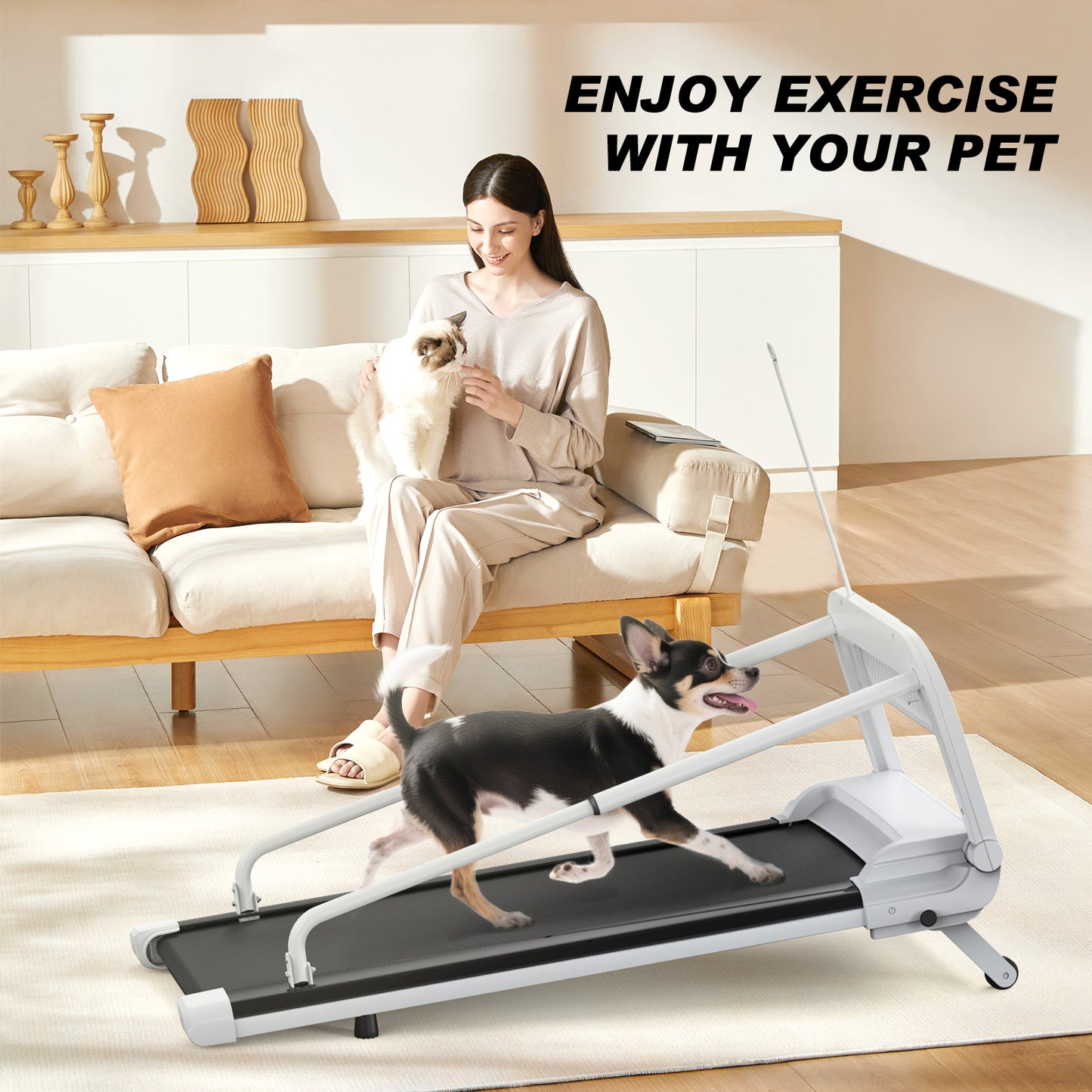 Quiet Smart Pet Treadmill – Adjustable Speed for Small & Medium Dogs
