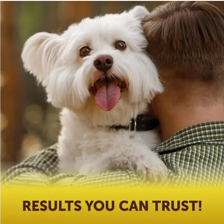 SUPER Scoot Stopper Dog Chews