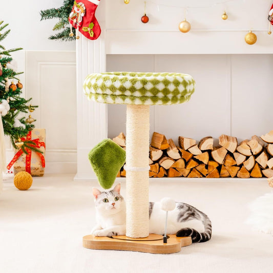 Cat Scratching Post & Bed