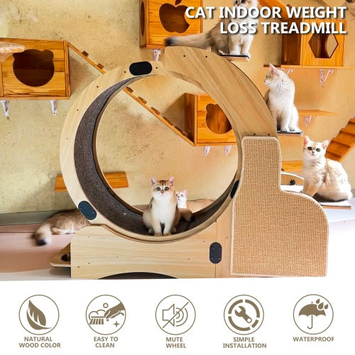5-in-1 Cat Sports Running Wheel