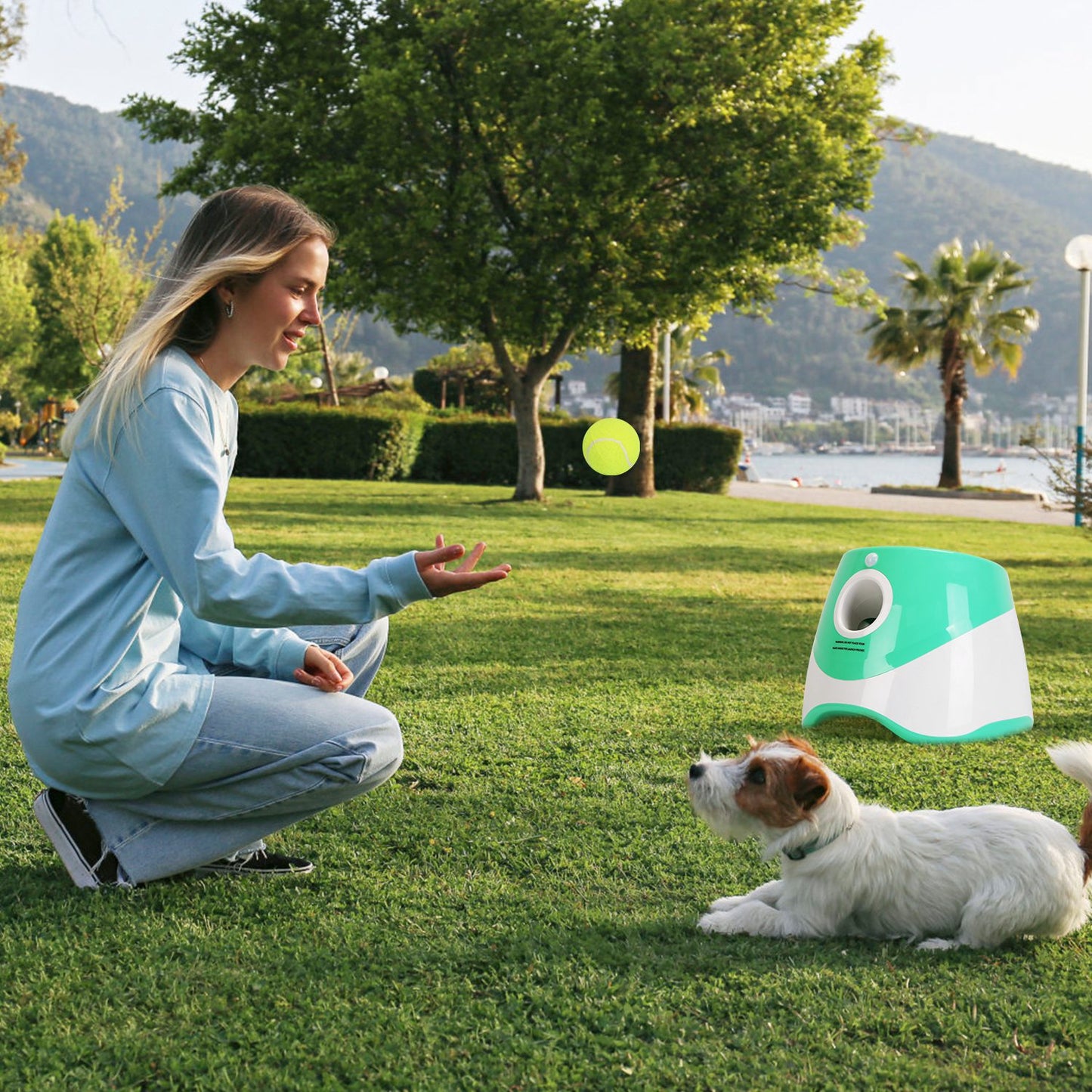 Automatic Dog Ball Launcher – 3 Distances, Includes 6 Tennis Balls