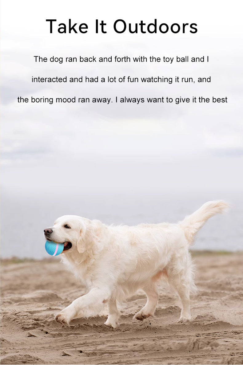 Pet Electric Dog Ball