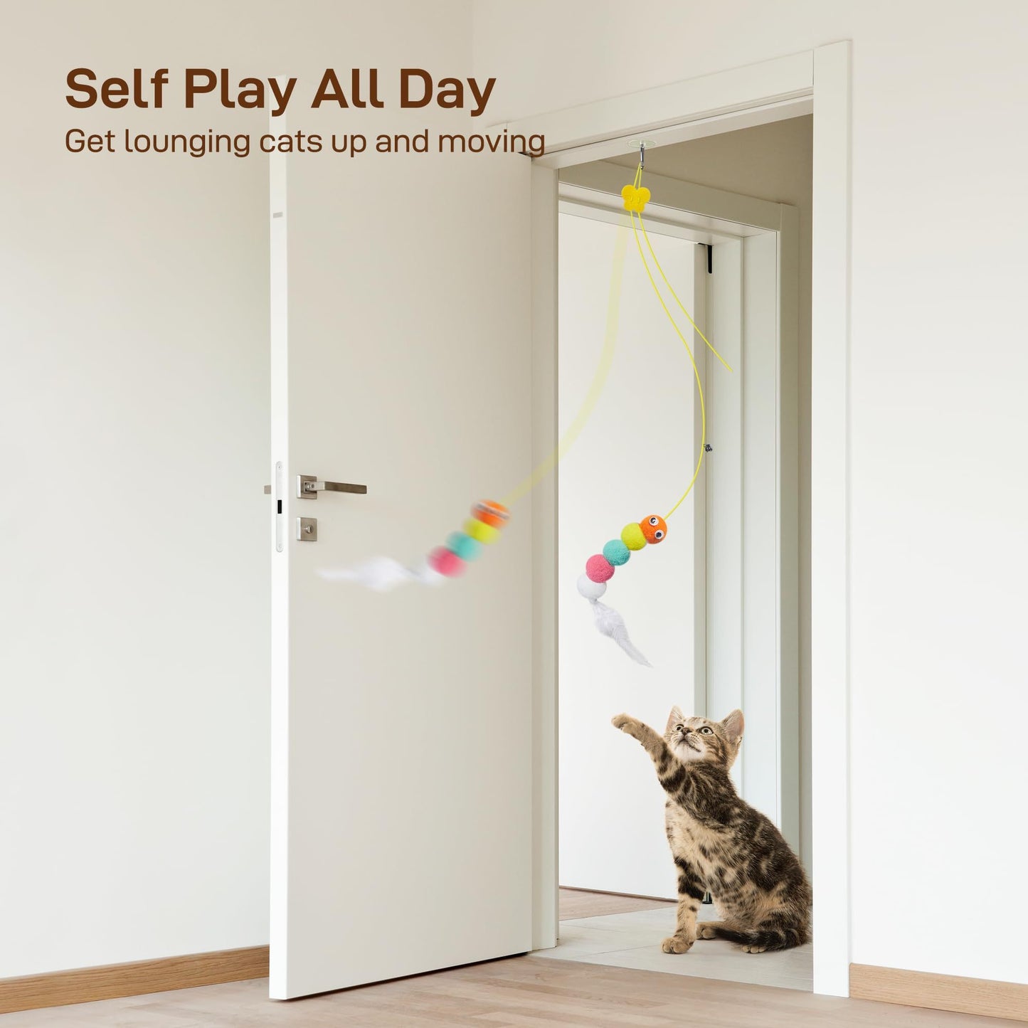 Interactive Cat Feather Toys 5 Pcs For Mental And Physical Stimulation