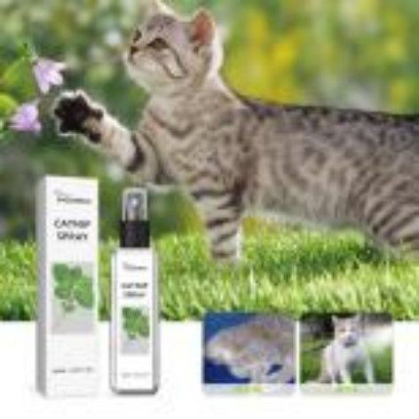 Cat Anxiety Relief & Vitality Spray