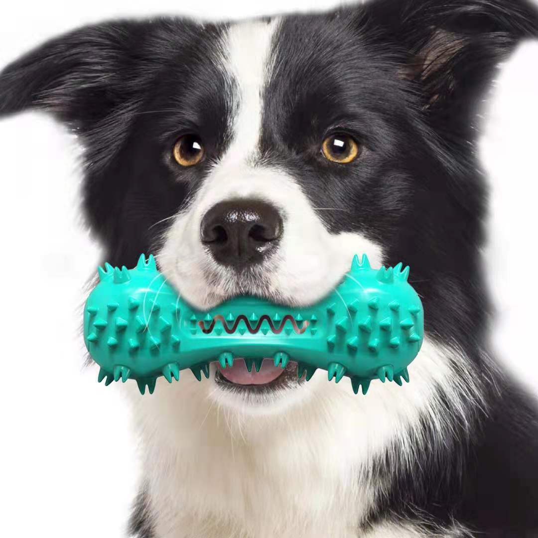 Dog Chew Toy – Rubber Molar Stick