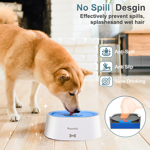 2L Splash-Proof Pet Water Bowl with Filter
