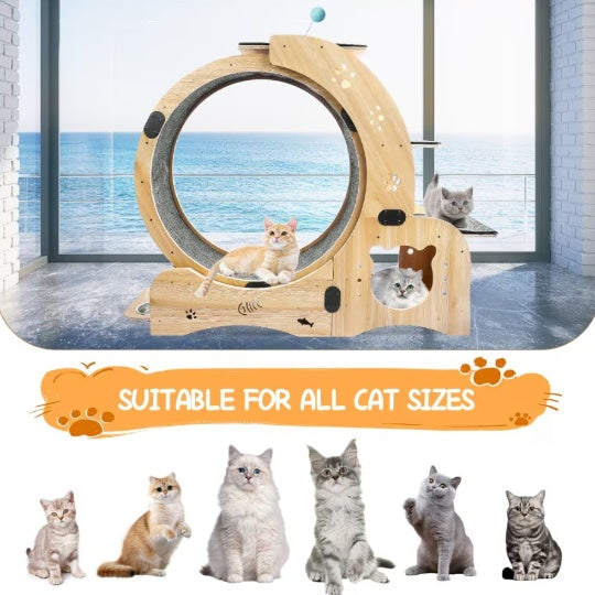 Cat Running Wheel – Silent & Smooth Exercise Wheel for Active Cats