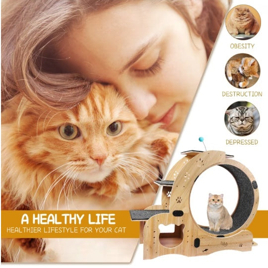 Cat Running Wheel – Silent & Smooth Exercise Wheel for Active Cats