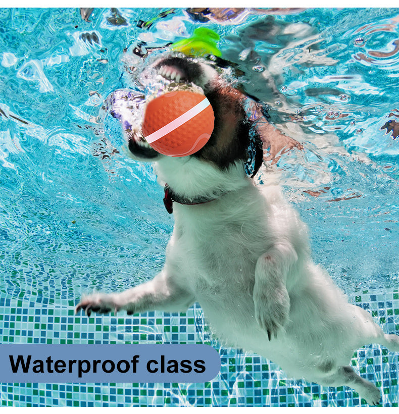 Pet Electric Dog Ball