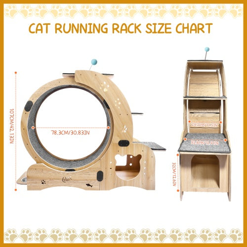 Cat Fitness Wheel