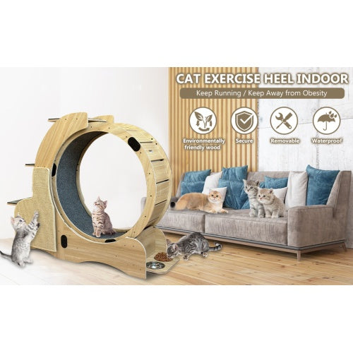 5-in-1 Cat Sports Running Wheel