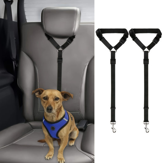 2-Piece Dog Leash Set – Wear-Resistant & Skin-Friendly