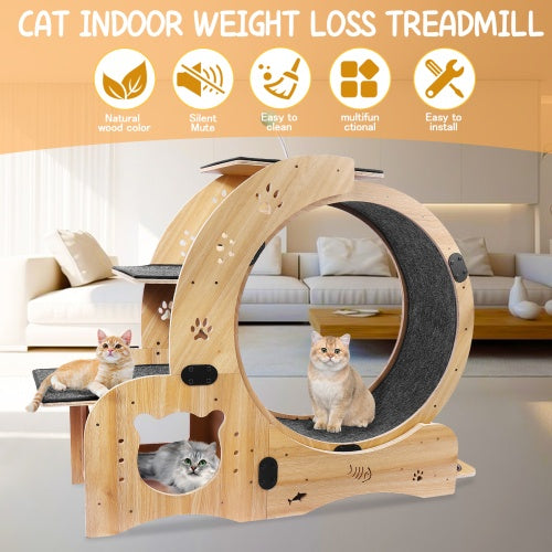Cat Fitness Wheel