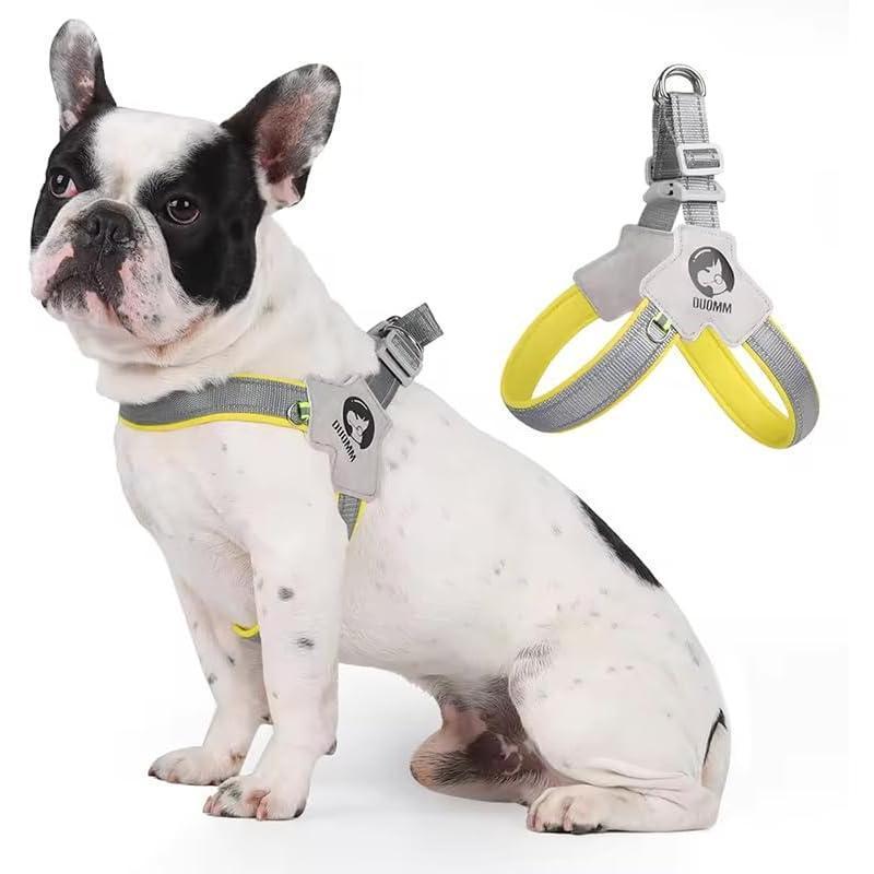 Adjustable Pet Harness & Leash Set – No-Pull, Reflective