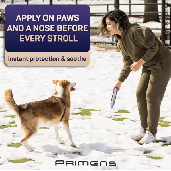 Natural Dog Paw Balm – Moisturizing & Protecting Paw Care for Dogs