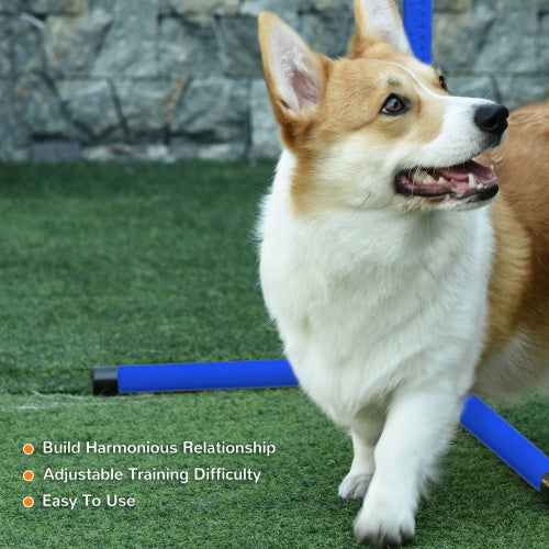 4-Piece Adjustable Dog Agility Set
