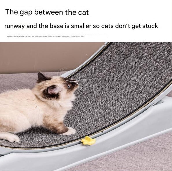 Cat Running Wheel